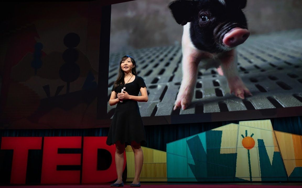 【TED演讲】器官移植不用等待（中英字幕）