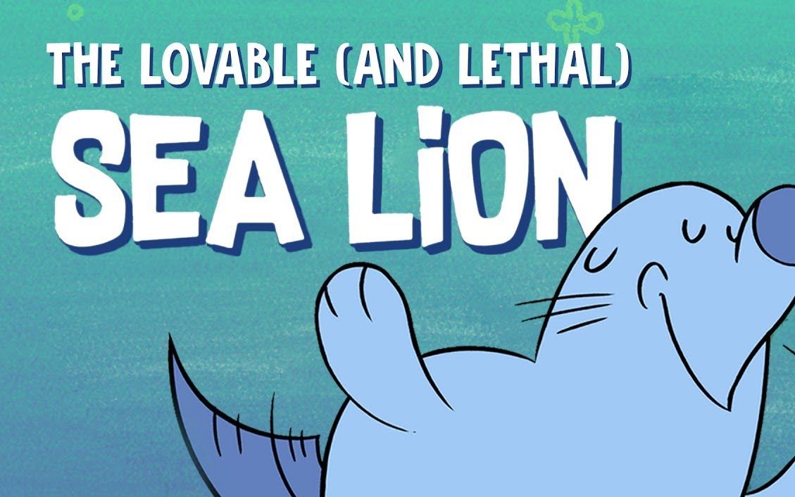 【TED科普】可爱（致命）的海狮（中英字幕）