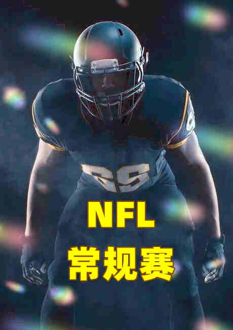 NFL常规赛-钢人vs老鹰-20221031