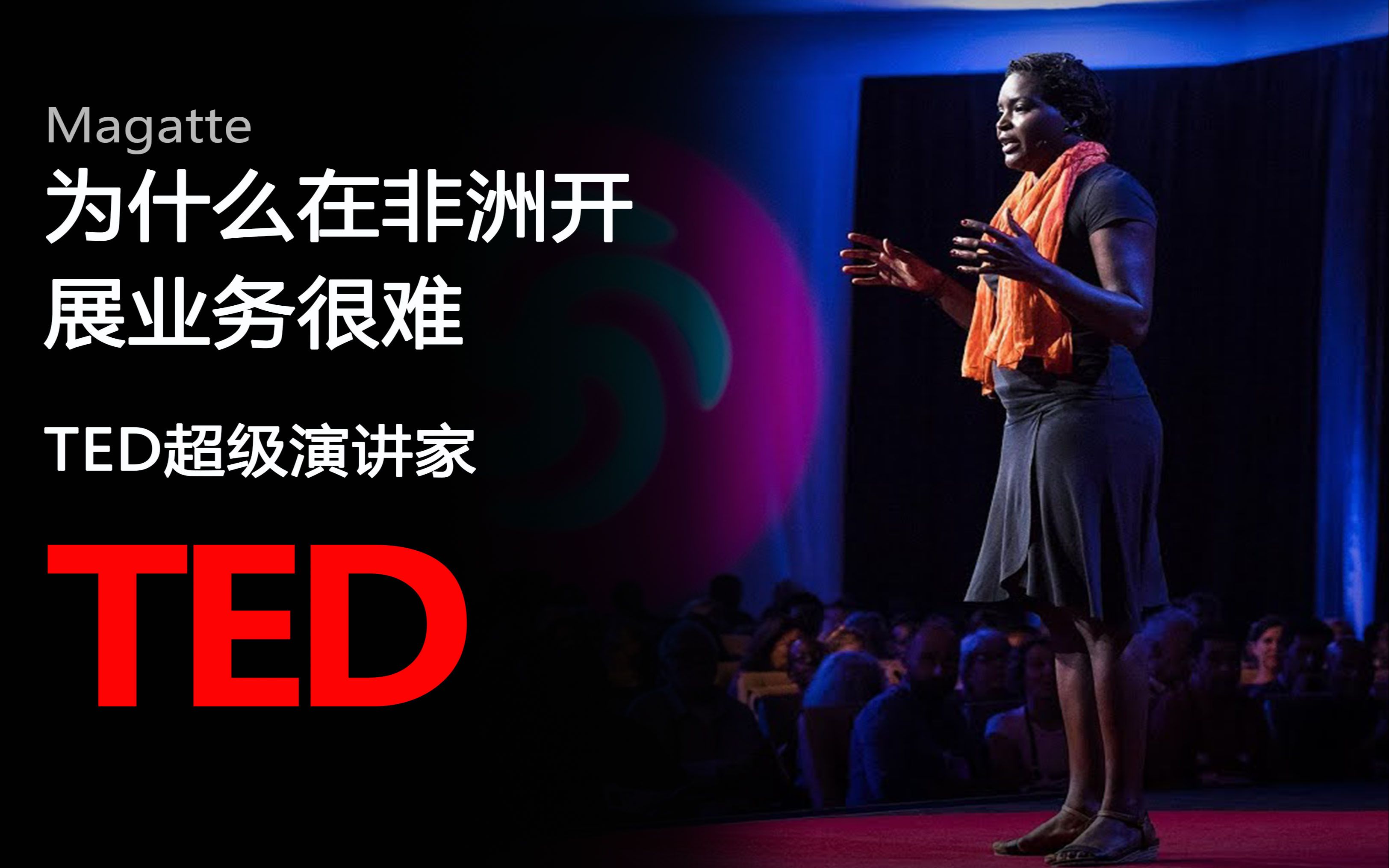 【TED演讲】为什么在非洲开展业务太难（中英字幕）